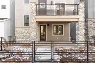 New construction Single-Family house 10771 Spalding Vw, Colorado Springs, CO 80908 - image