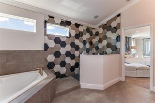 New construction Single-Family house 18460 Purple Creek Ln, Lutz, FL 33549 plan Briarwood - image