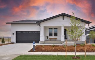 New construction Single-Family house 1810 Morningstar Way, Fort Collins, CO 80524 Harbor- photo