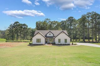 New construction Single-Family house 46 Millie Trl, Williamson, GA 30292 plan Davenport - image
