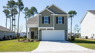 New construction  house 1241 Pampas Grass Dr, Castle Hayne, NC 28429 plan WREN - image