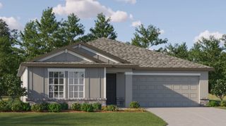 New construction Single-Family house 9008 Bay Leaf Dr, Parrish, FL 34221 Dover- photo