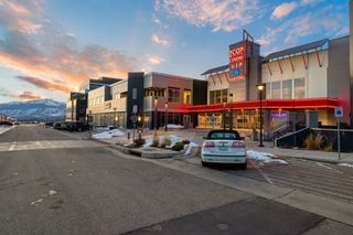 New construction Single-Family house 10787 Spalding Vw, Colorado Springs, CO 80908 plan Tristyn - image