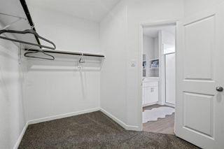 New construction Single-Family house 4532 Fringetree Wy, Crowley, TX 76036 plan Oxford - image