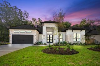 New construction Single-Family house 209 Lilac Tree Ct, Willis, TX 77318 - image