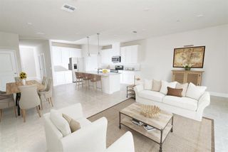 New construction  house 6696 Cedar Landing Cr, Leesburg, FL 34748 plan Amelia - image