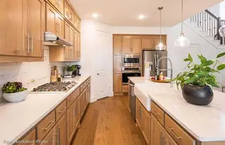 New construction Single-Family house 1700 Palo Duro Wy, Celina, TX 75009 plan Belmont Plan - image