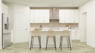 New construction house 10838 Sparkly Wy, San Antonio, FL 33576 plan Dayspring II* - image