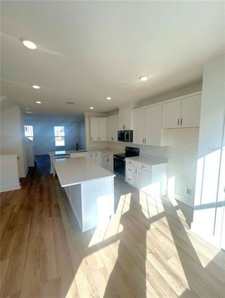 New construction  house 15274 Groveside Rd, Winter Garden, FL 34787 plan Lantana - image