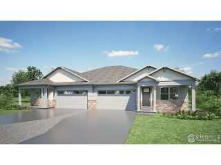 New construction Duplex house 1402 Mullers Dr, Windsor, CO 80550 plan Summit - image