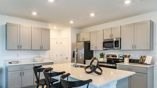 New construction Single-Family house 355 Cornerstone Dr, Groveland, FL 34736 plan Elm - image