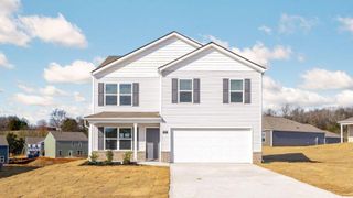 New construction Single-Family house 425 Wallace Dr, Niota, TN 37826 plan Belhaven - image