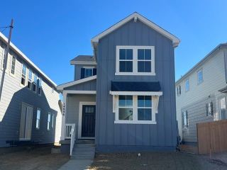 New construction Single-Family house 14846 Arbor Blvd W, Thornton, CO 80602 plan Celeste - image