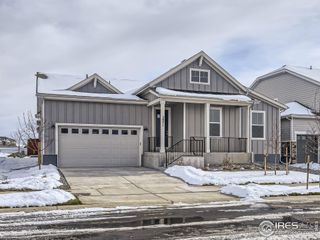 New construction Single-Family house 2071 Dusk Ct, Windsor, CO 80550 plan Plan C502 - image