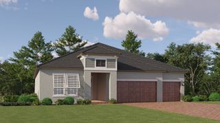 New construction Single-Family house 16761 Roseate Spoonbill Dr, Land O' Lakes, FL 34638 plan Daybreak II - image