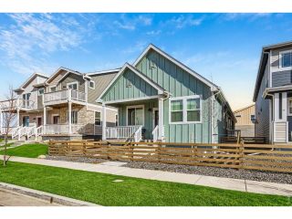 New construction Single-Family house 2449 Violet Cress Ln, Fort Collins, CO 80524 plan Sanitas - image