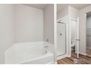 New construction Single-Family house 964 Cascade Falls St, Severance, CO 80550 - image