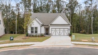 New construction Single-Family house Mayhaw Point, Sharpsburg, GA 30277 - photo