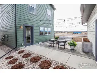 New construction Single-Family house 943 Trumpet Ln, Windsor, CO 80550 plan Marigold - image