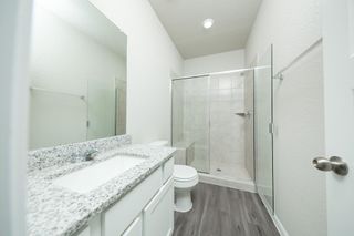 New construction house 14108 Balcones Fault Ct, Willis, TX 77318 plan Woodland - image