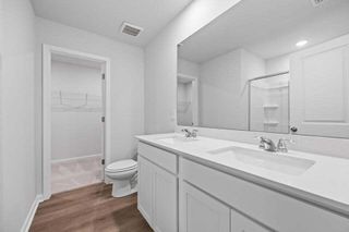 New construction Single-Family house 773 Meadowbrook Ln, Summerville, SC 29486 plan Oriole - image