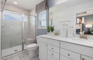 New construction  house 2837 Farmhouse Dr, Apex, NC 27502 plan Jellicoe - image