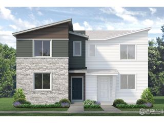 New construction Duplex house 308 Scaup Ln, Johnstown, CO 80534 plan Acadia - image