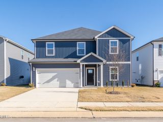 New construction Single-Family house 630 White Birch Ln, Angier, NC 27501 plan Chatham - image