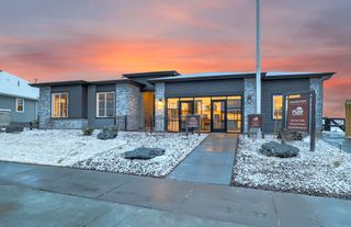 New construction Single-Family house 8811 S Quemoy St, Aurora, CO 80016 plan Ferrara - image