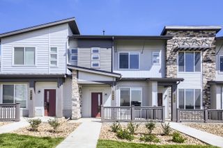 New construction Single-Family house 3053 Gladstone Ave, Loveland, CO 80538 plan 302R - image
