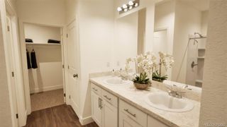 New construction Single-Family house 4178 Graywood Dr, Johnstown, CO 80534 - image