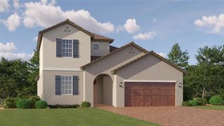 New construction Single-Family house 10843 Ibis Brook Ct, Land O' Lakes, FL 34638 - photo