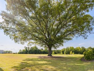 New construction Single-Family house 516 Winding Creek Dr, Lillington, NC 27546 plan Devon - image