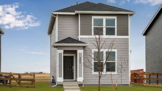 New construction Single-Family house 301 Fiord Wy, Severance, CO 80550 plan Lexington - image