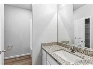 New construction Single-Family house 964 Cascade Falls St, Severance, CO 80550 - image