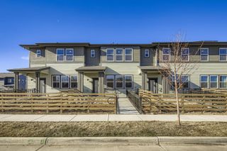 New construction Single-Family house 845 Merganser Dr, Fort Collins, CO 80524 plan Grove - image