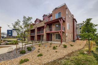 New construction Single-Family house 9613 Browns Peak Cir, Littleton, CO 80125 plan Panorama - image