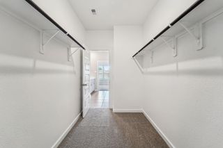 New construction  house 16678 Sterling Cliff St, Conroe, TX 77302 plan The Olympic (380) - image