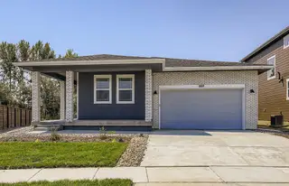 New construction Single-Family house 1803 Carnoustie Dr, Fort Collins, CO 80524 plan Newport - image