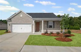 New construction Single-Family house 280 Nesta Grove Dr, Locust Grove, GA 30248 - image