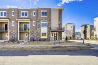 New construction  house 15544 W Washburn Ave, Lakewood, CO 80228 plan Cadence 12 - image