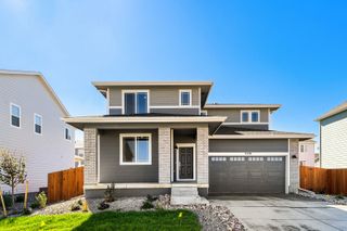 New construction Single-Family house 7338 White River St, Frederick, CO 80530 plan Rainier - image
