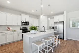 New construction Single-Family house 554 Old Charleston Rd, Pelion, SC 29123 plan Indigo - image