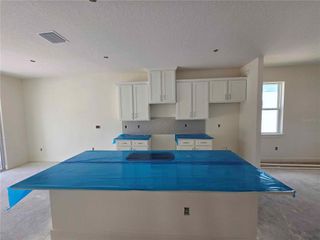 New construction Single-Family house 3836 Daybreak Run Lp, Spring Hill, FL 34609 plan Driftwood - image