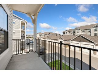 New construction Single-Family house 4260 Vulcan Creek Dr, Unit 201, Loveland, CO 80538 plan Purdue - image
