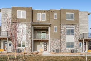 New construction Townhouse house 15563 W Washburn Dr, Lakewood, CO 80228 plan Cadence 11 - image