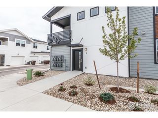 New construction Multi-Family house 2120 Falling Leaf Dr, Unit 1, Windsor, CO 80550 plan Ford - image