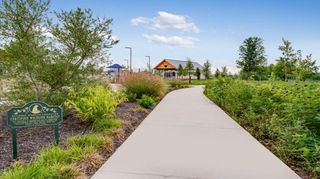 New construction Single-Family house 1505 Alana Falls Ave, Pflugerville, TX 78660 plan Blanco 2 - image