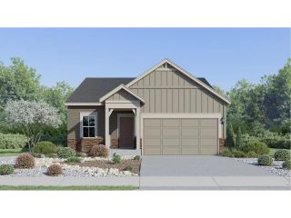 New construction Single-Family house 1662 Drumming Dr, Windsor, CO 80550 plan Dolly - image