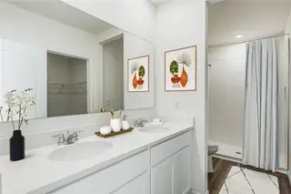 New construction Single-Family house 5172 Clusia Dr, Apopka, FL 32712 plan Astor - image